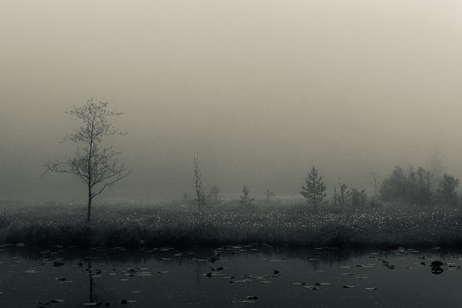 Grey Marshes Photograph by Benjamin Hutcheon - Fine Art America