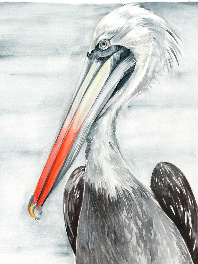 Grey Pelican II Painting by Jennifer Paxton Parker - Fine Art America