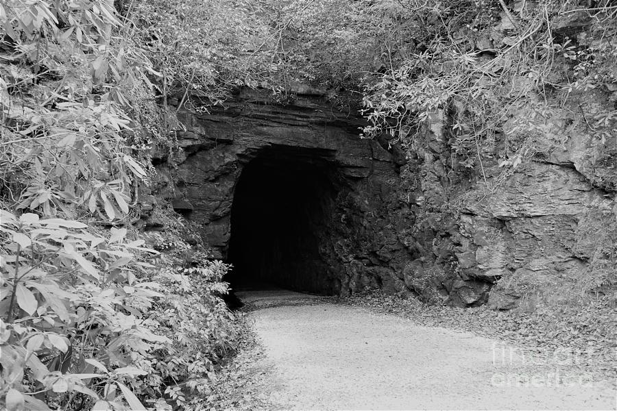 Grey Stumphouse Tunnel Photograph by Groover Studios