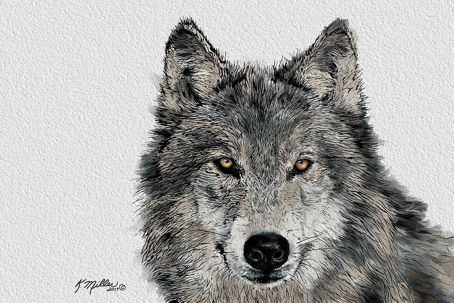 Grey Wolf Painting by Kathie Miller