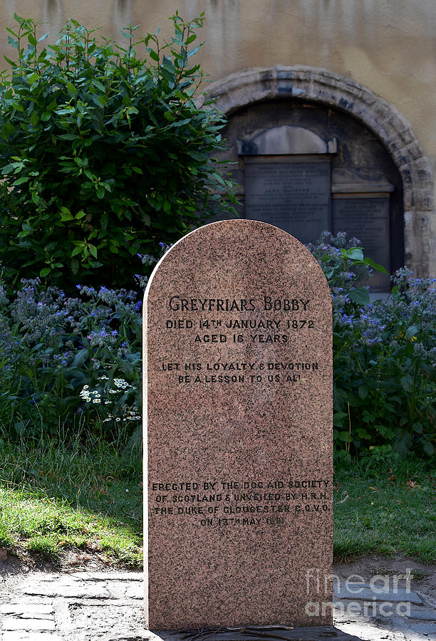 Greyfriars Bobby Memorial Stone Photograph by Yvonne Johnstone