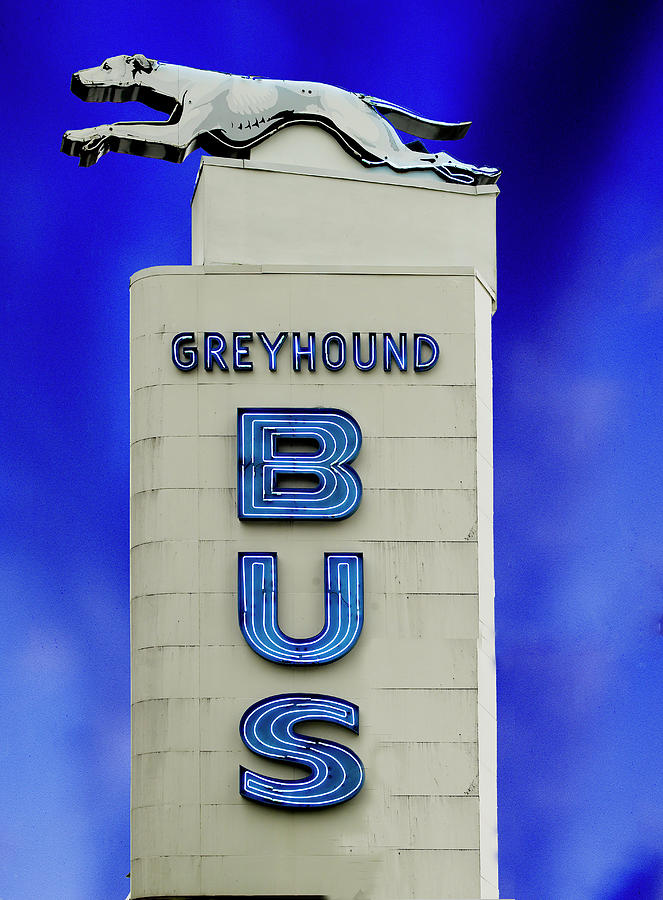 Greyhound Bus sign, South Carolina Painting by 