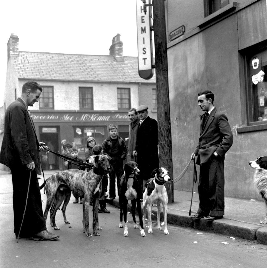 Greyhound Club Photograph by Bert Hardy