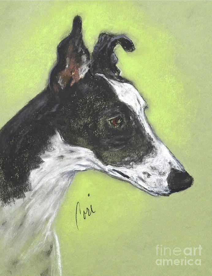 Dog Drawing - Greyt Aspirations by Cori Solomon