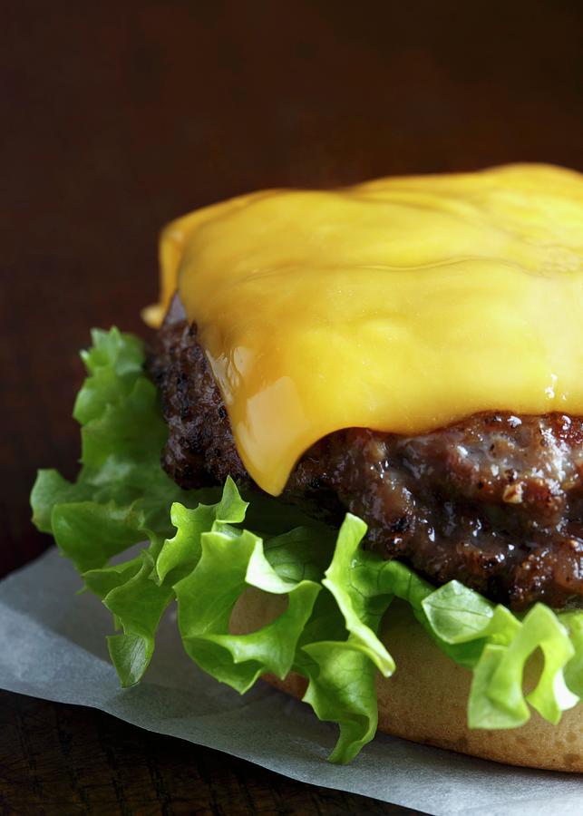 Grilled Beef Burger On A White Bun With Curly Lettuce And Melted Cheddar Cheese Photograph by Etienne Voss