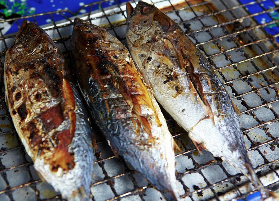 Grilled Fish On A Wire Rack Photograph by Joff Lee Studios - Fine Art ...