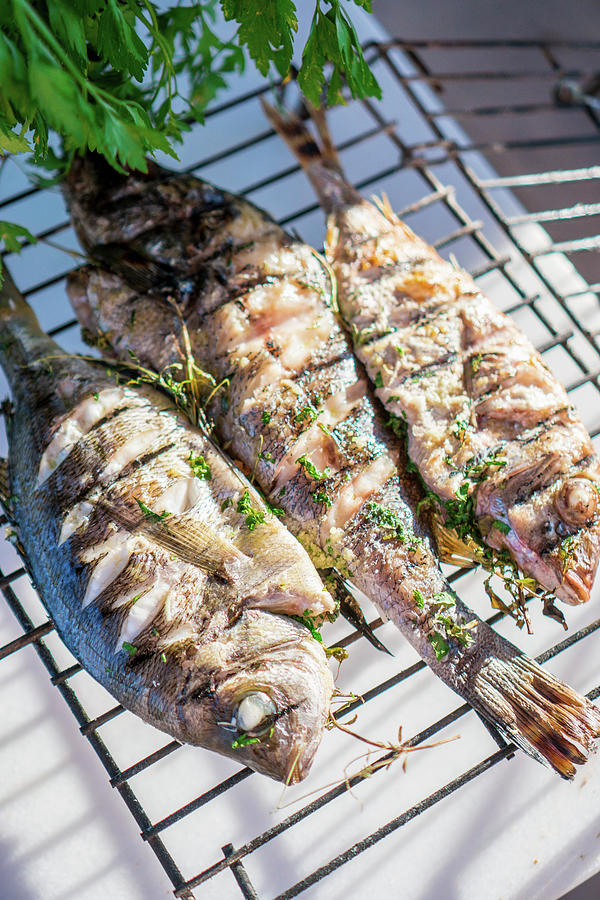 Grilled Fish With Herbs On A Grilling Basket Photograph by Sebastian Schollmeyer