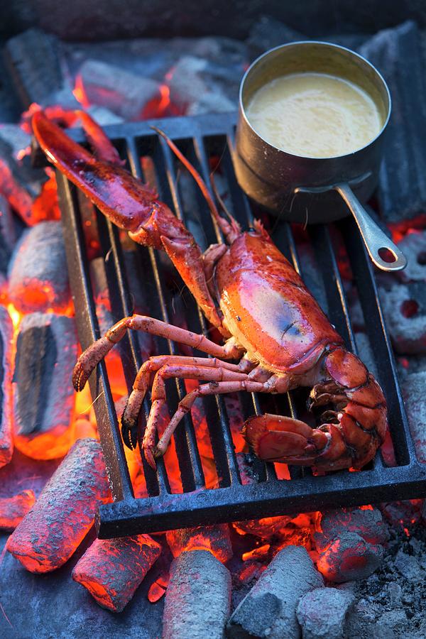 Grilled Lobster With Sauce Photograph by Jalag / Joerg Lehmann
