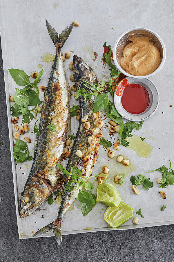 Grilled Mackerel With A Herb Coating And Peanut Sauce Photograph by Tre Torri
