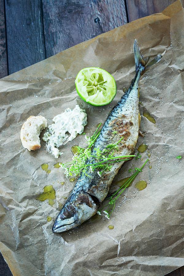 Grilled Mackerel With Remoulade And Chervil Flowers Photograph by Jan Wischnewski