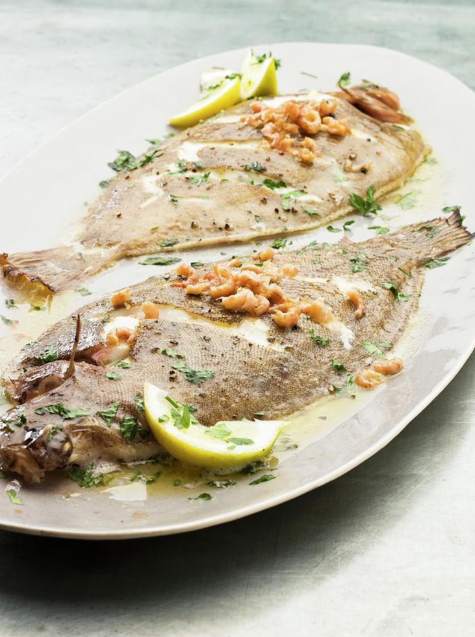 Grilled Sole With Butter Sauce Photograph by Lingwood, William Fine