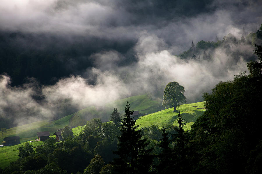 Grindelwald, Switzerland Valley Photograph by Dvdwinters