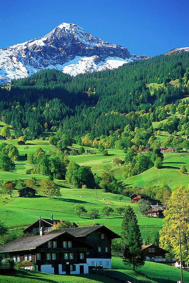 Grindewald, Switzerland Photograph by Peter Adams Grindewald, Switzerland Photograph by Peter Adams