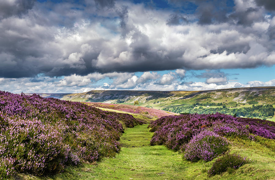 Grinton Moor Photograph By Yorkshire In Colour - Fine Art America