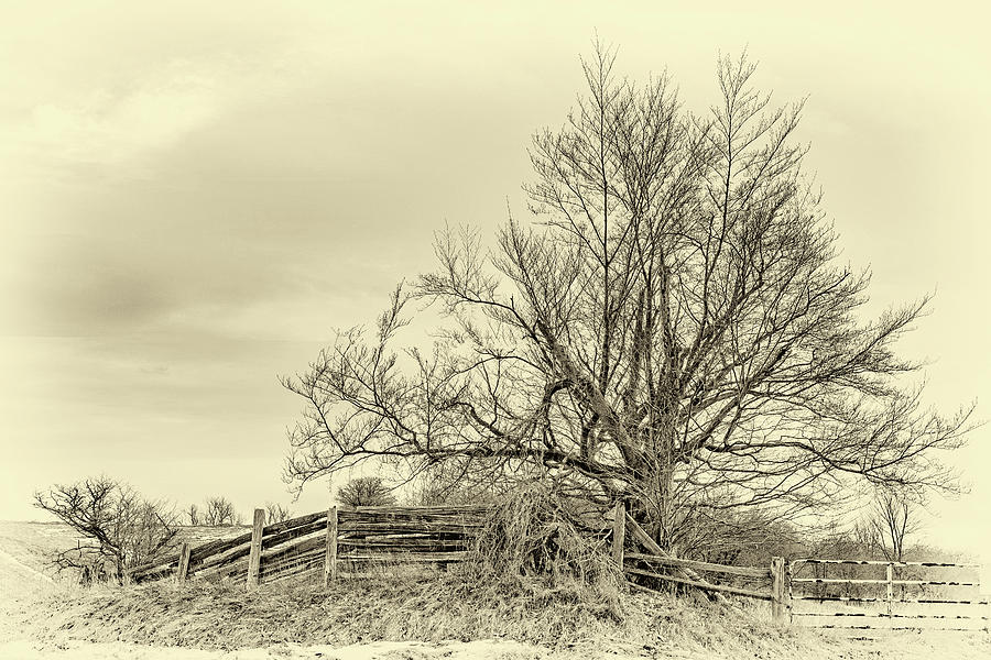 Gritty Ditch - Sepia Photograph