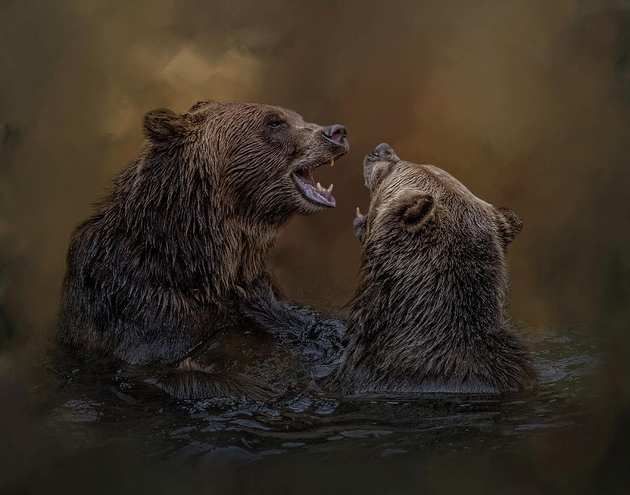 Grizzlies At Play by Kelley Parker Grizzlies At Play by Kelley Parker