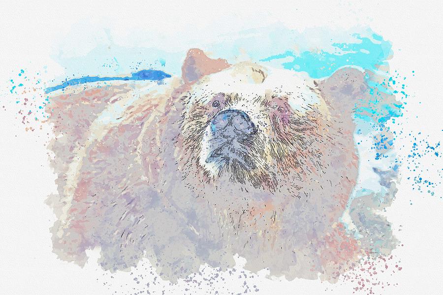 Grizzly Bear in Alaska, USA -  watercolor by Adam Asar Painting by Celestial Images