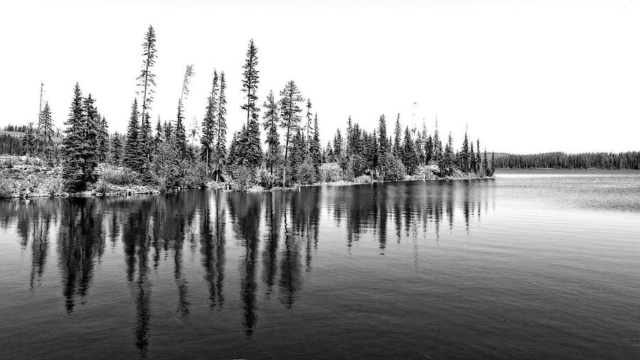 Grizzly Lake Black and White Photograph by Allan Van Gasbeck