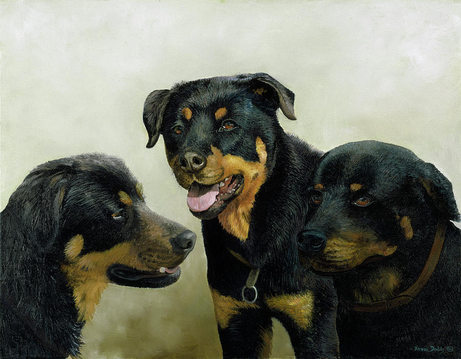 Rottweiler Painting - Grizzly, Whyler, Thor by Kevin Dodds