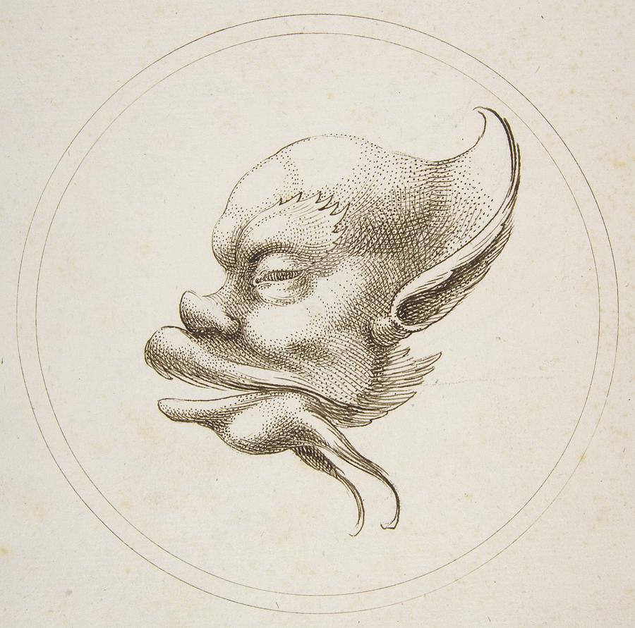 Grotesque Head With A Large Eyebrow Looking To The Left Drawing by Gaetano Piccini Grotesque Head With A Large Eyebrow Looking To The Left Drawing by Gaetano Piccini