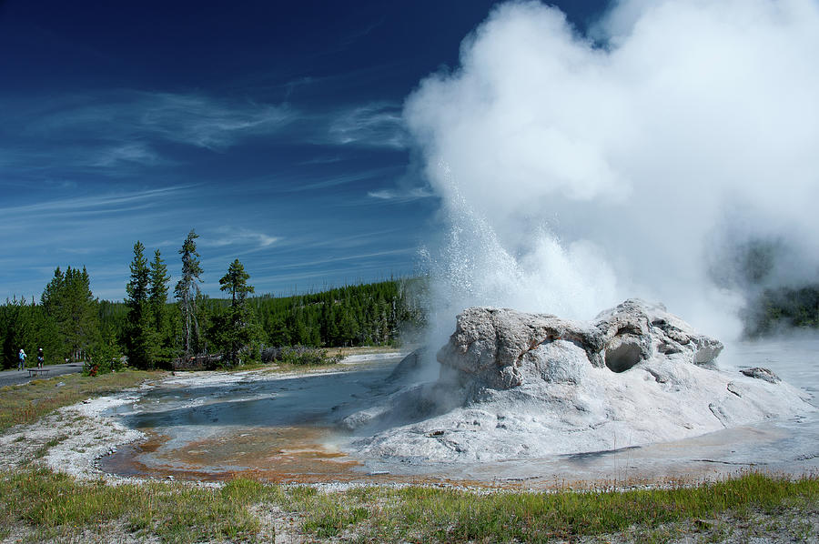 Grotto Geyser Photograph by Janet Miles