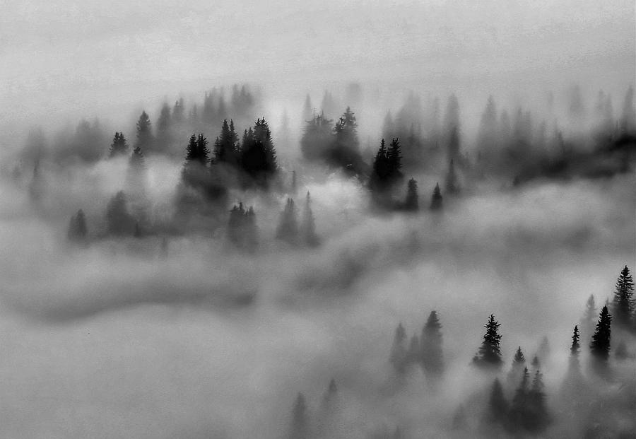 Ground-fog Photograph by Cristian Flueraru