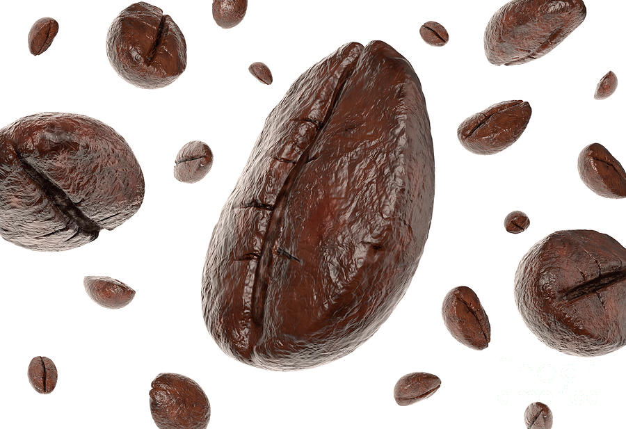 Group Of Coffee Beans Falling Photograph by Leonello Calvetti/science Photo Library