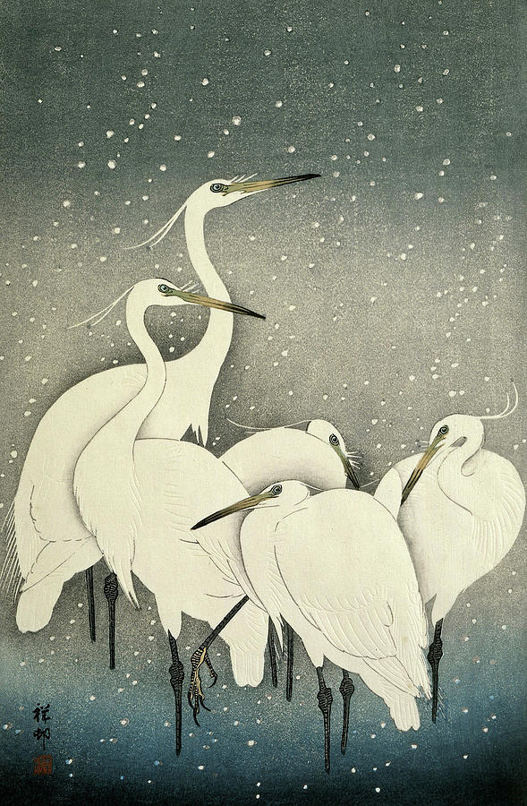 Ohara Koson Painting - Group of Egrets by Ohara Koson