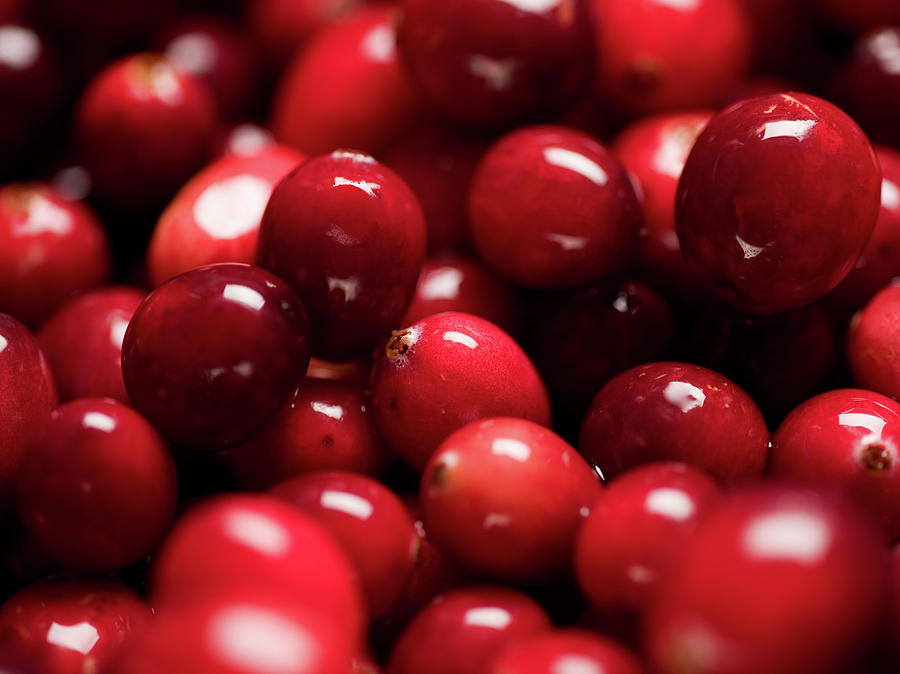 Group Of Fresh Red Shining Cranberries Photograph by Therachelkay