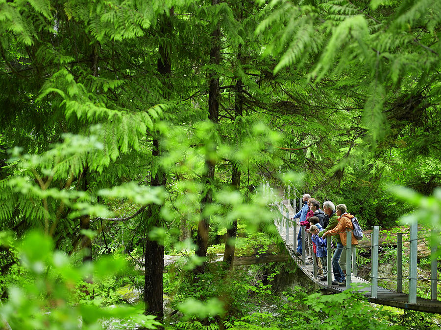 Group Of People On Suspension Bridge Photograph by Ryan Mcvay