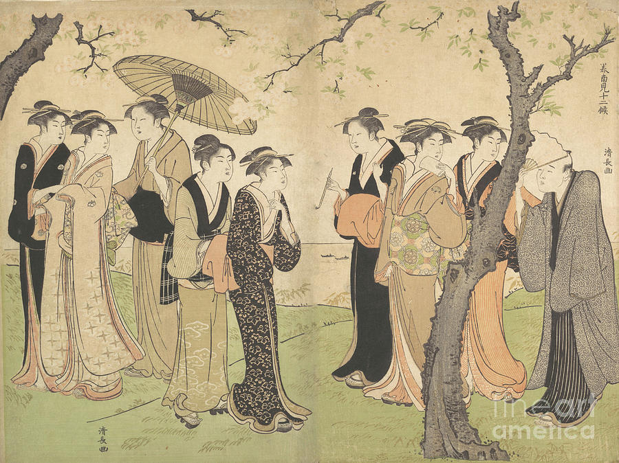 Group Of Six Geisha Under The Cherry Drawing by Heritage Images