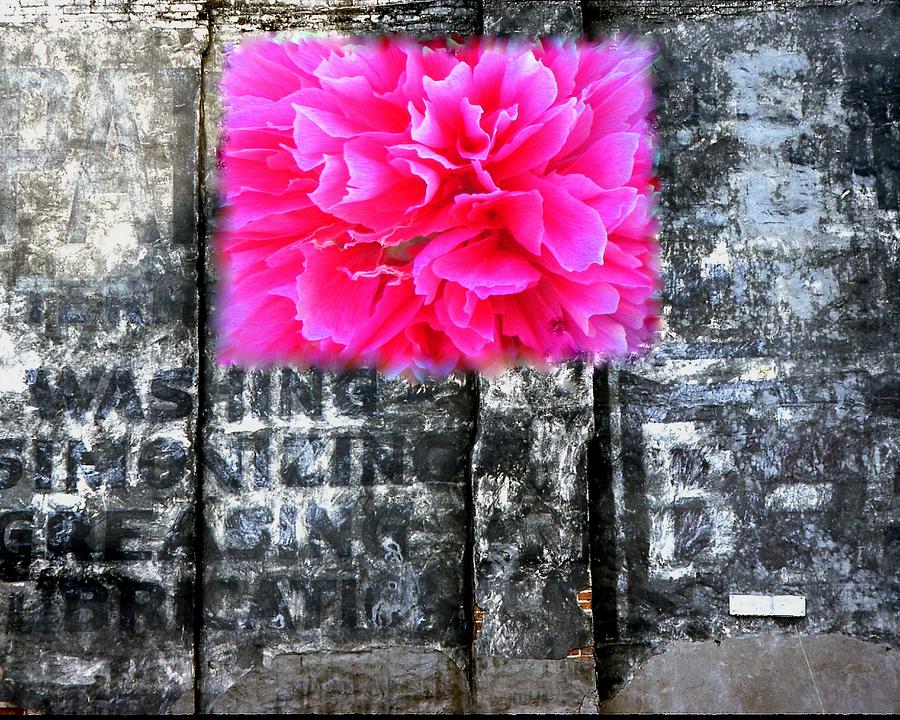 Growing Flowers by Richard Stanford Growing Flowers by Richard Stanford