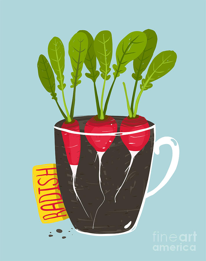 Container Digital Art - Growing Radish With Green Leafy Top by Popmarleo Container Digital Art - Growing Radish With Green Leafy Top by Popmarleo