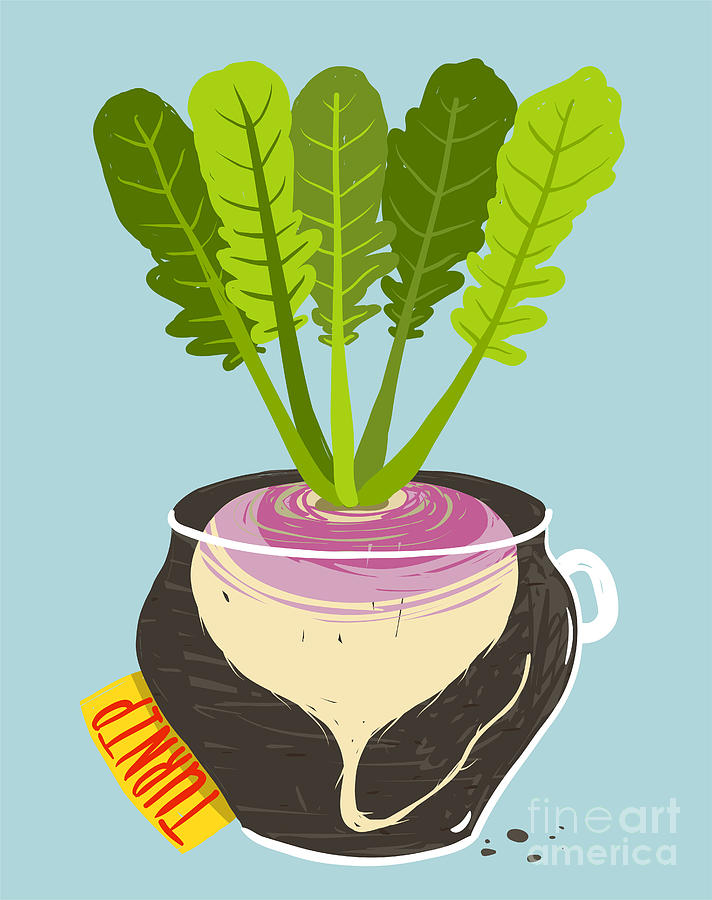 Container Digital Art - Growing Turnip With Green Leafy Top In by Popmarleo Container Digital Art - Growing Turnip With Green Leafy Top In by Popmarleo