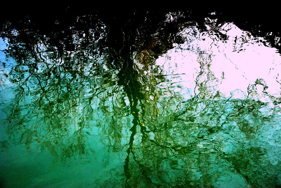 Growth 2 - Venice - Torcello by Jacqueline M Lewis Growth 2 - Venice - Torcello by Jacqueline M Lewis