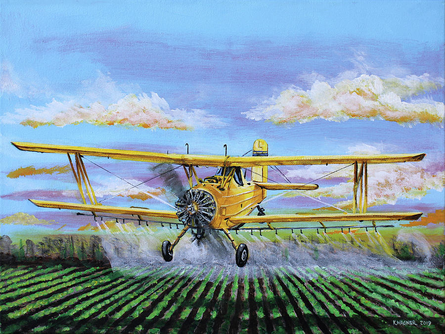 Grumman Ag Cat Painting by Karl Wagner