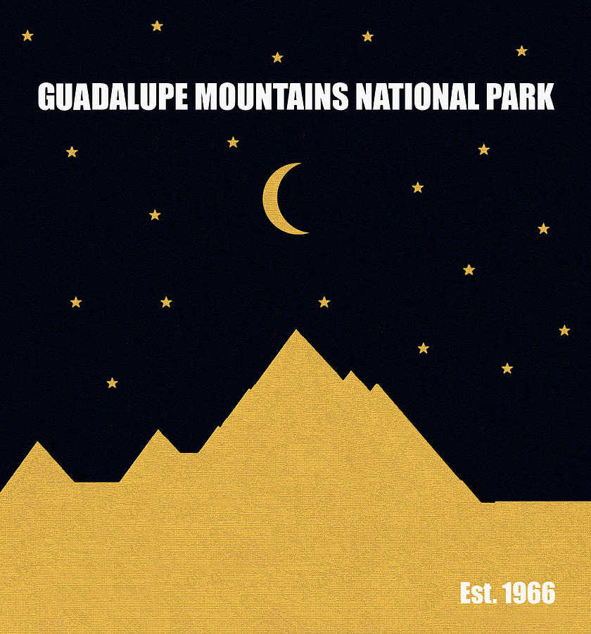 Guadalupe Mountains N. P. M series Mixed Media by David Lee Thompson