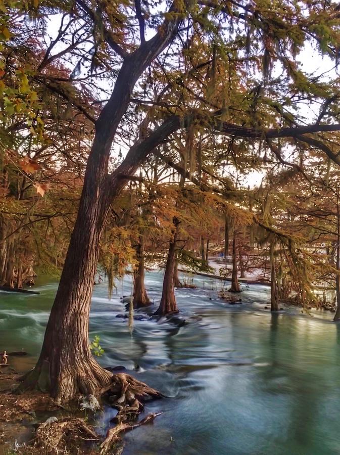 Guadalupe River Flow Photograph by Doris Aguirre
