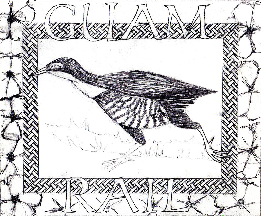 Roadrunner Painting - Guam Rail by Genevieve Esson