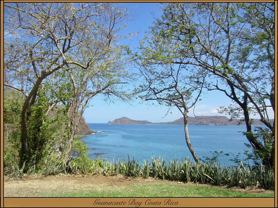Nature Photograph - Guanacaste Bay by Artist Laurence