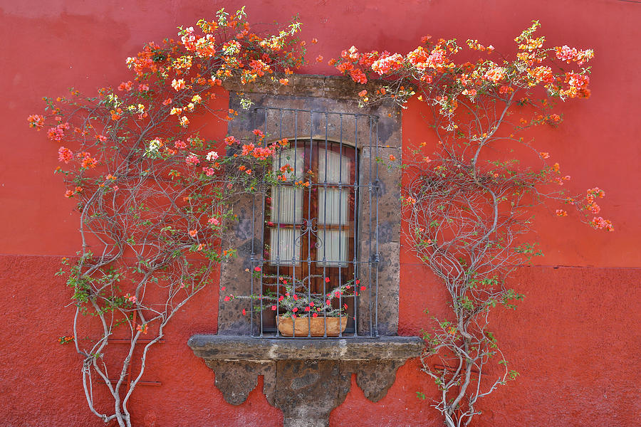 City Photograph - Guanajuato In Central Mexico by Darrell Gulin