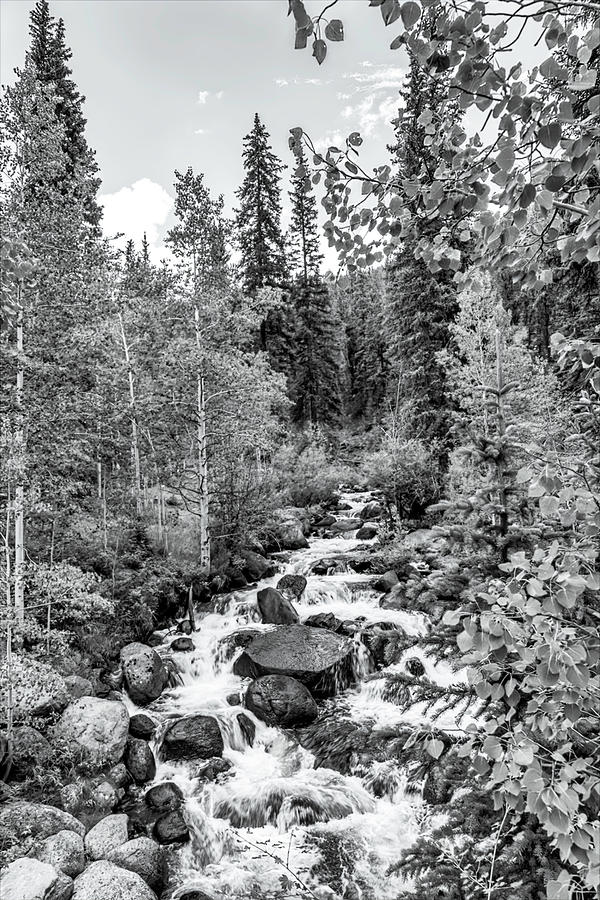 Another Guanella Pass Waterfall Black And White Photograph by Lorraine Baum