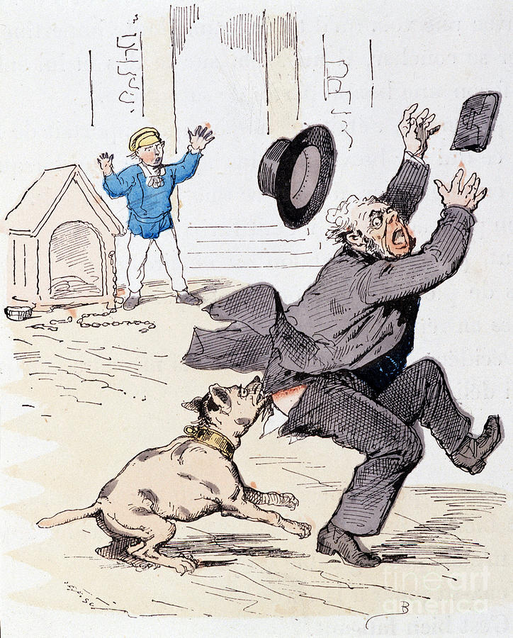 Guard Dog Drawing By Bertall, In “” Pierre The Unsolved””, 1876