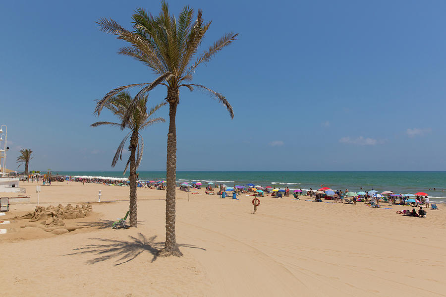 Guardamar Del Segura Costa Blanca Spain Palm Trees On The Beautiful 