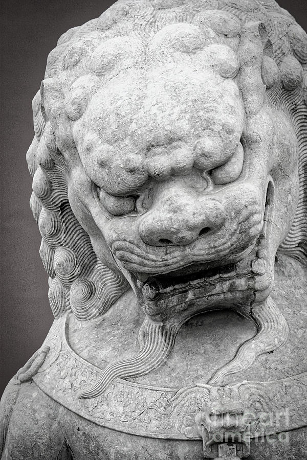 Guardian Foo Dog - Black and White Photograph by Carol Groenen