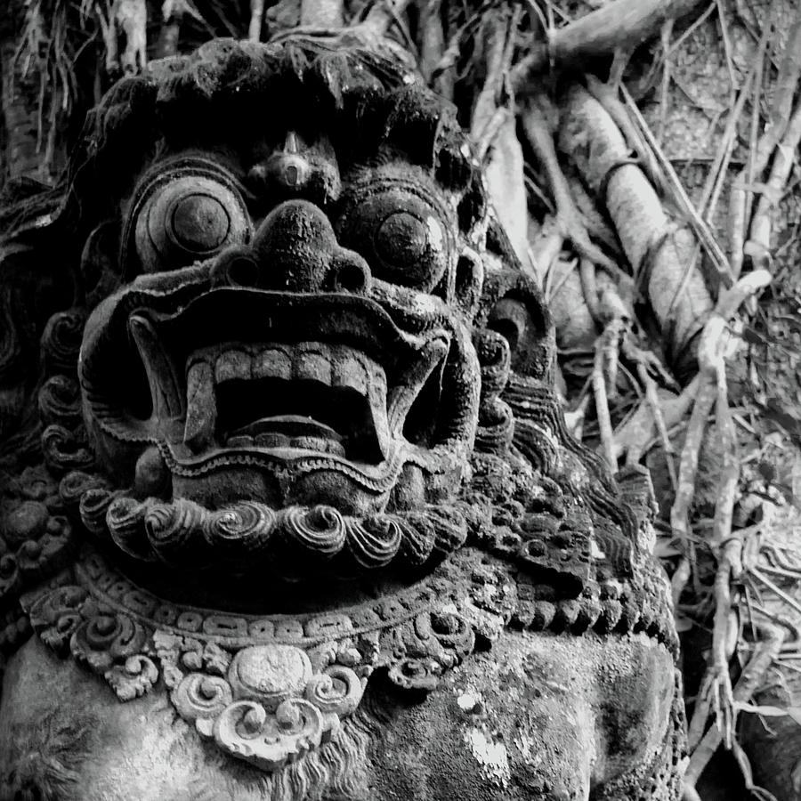 Guardian of the Monkey Forest BW by Melanie Maslaniec Guardian of the Monkey Forest BW by Melanie Maslaniec