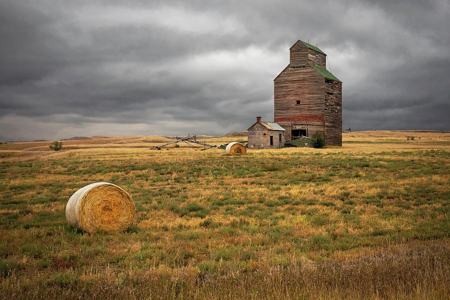 Guardian Of the Prairie II Photograph by Harriet Feagin