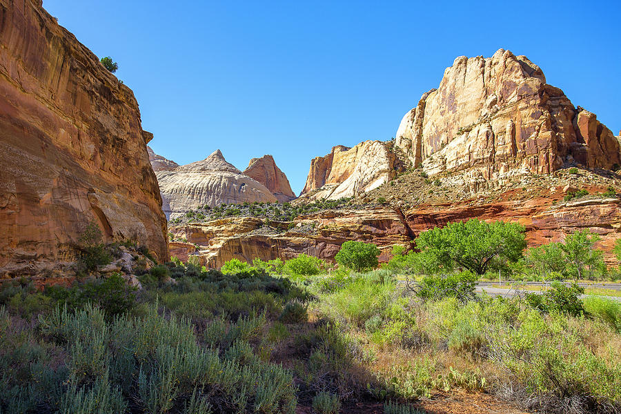 Guardians of the Desert Photograph by Trent Poole - Pixels