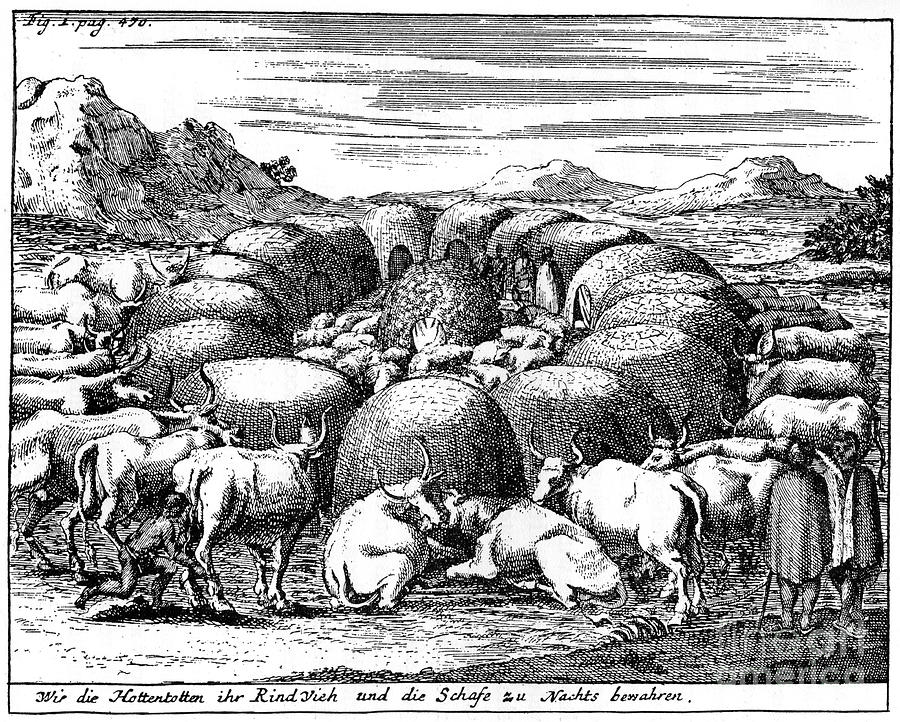 Guarding Sheep And Cattle At Night Drawing by Print Collector