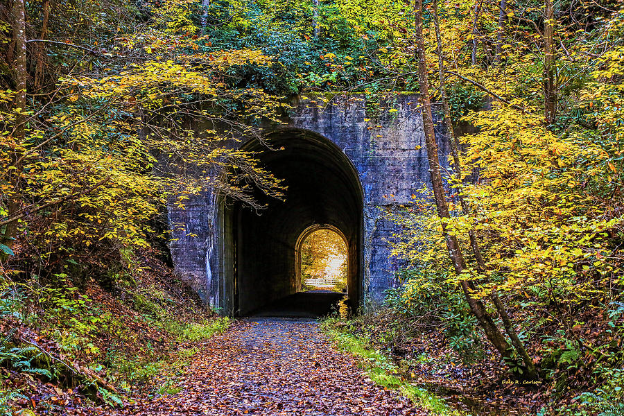 Guest River Gorge Tunnel Photograph by Dale R Carlson